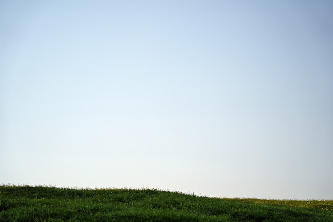 Photo Sighișoara
