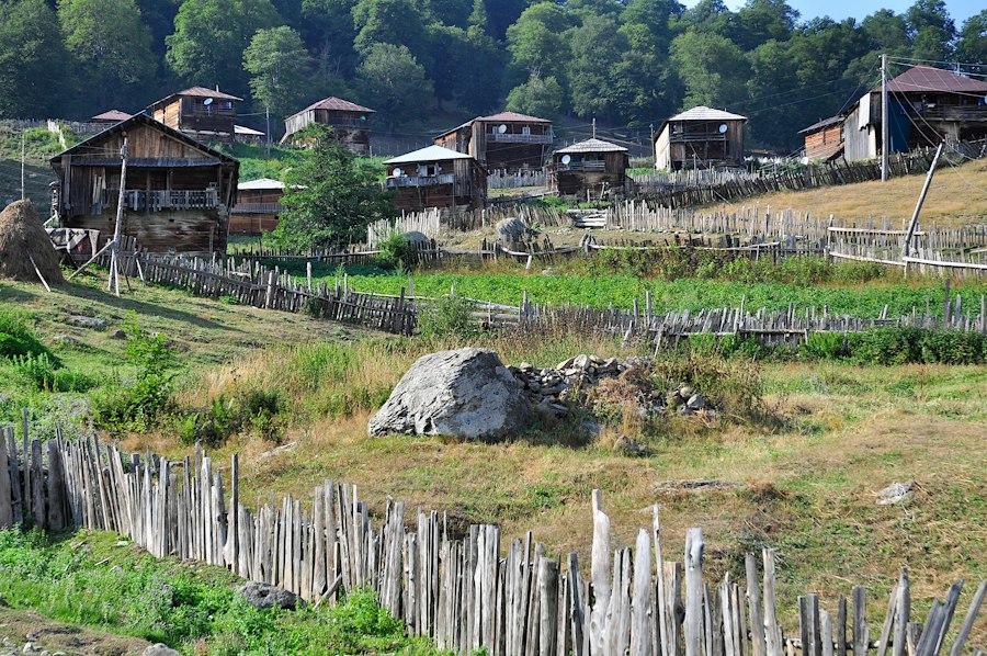 gânduri