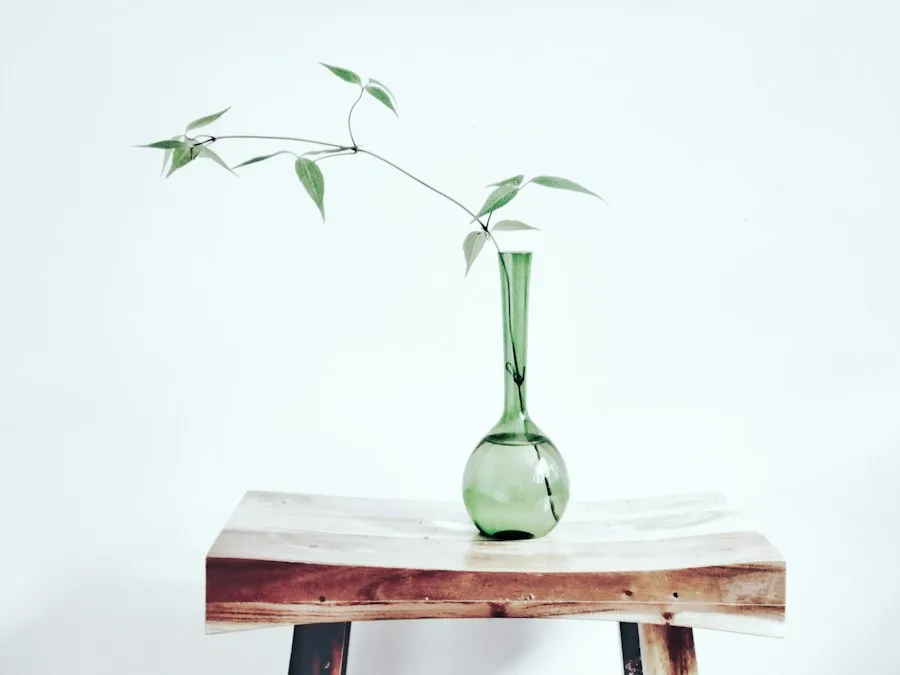 everyday minimalism lifestyle