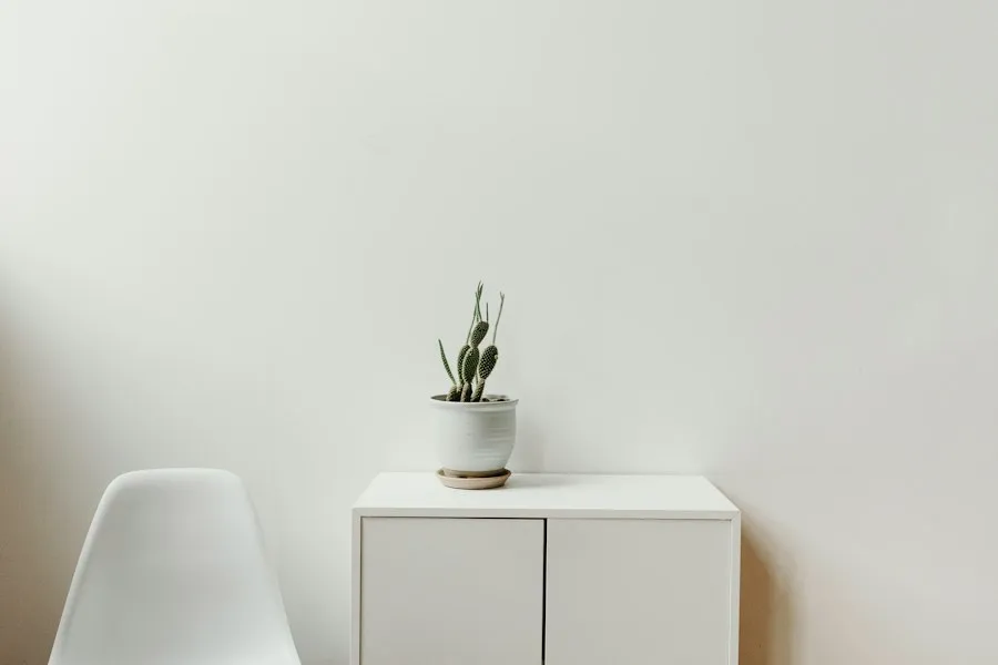 Photo minimalism lifestyle mistakes